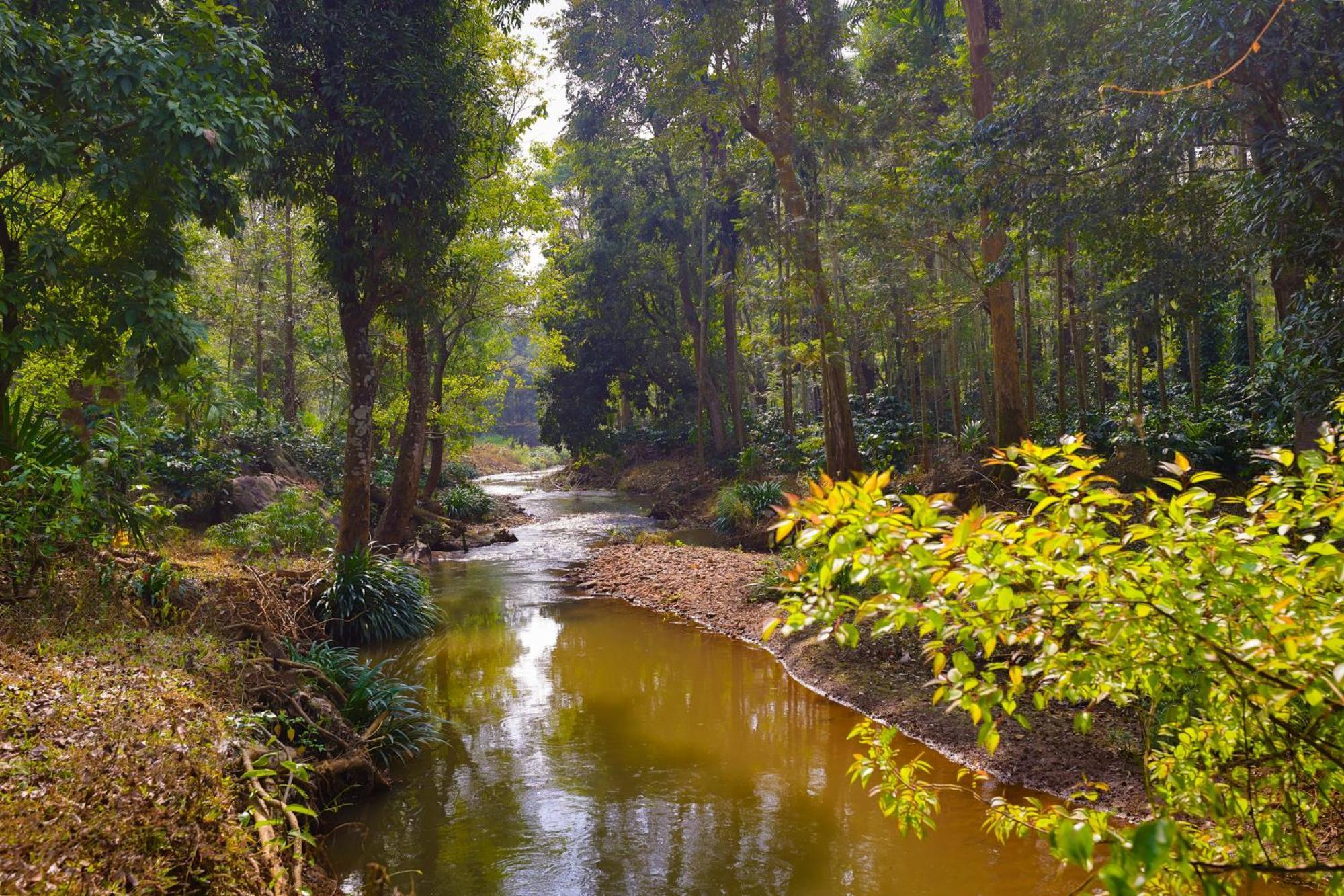 The Grand Retreat - Chikmagalur Hotel Ngoại thất bức ảnh